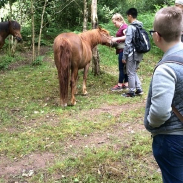 BullaceHill - 35